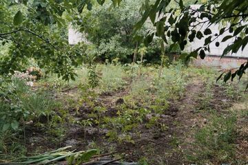 Ведение огородничества, 7 сот.
