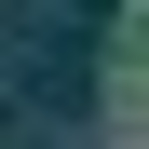 Емелина Елена Николаевна